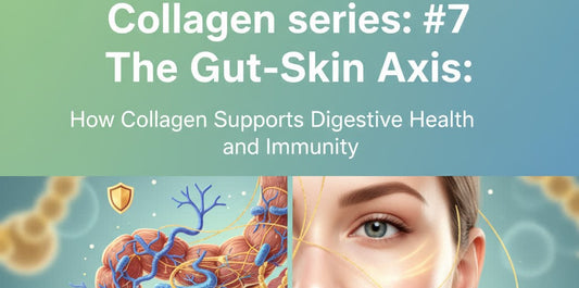 Collagen series: #7 The Gut-Skin Axis: How Collagen Supports Digestive Health and Immunity
