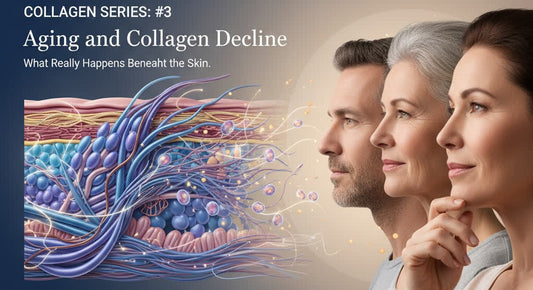 Collagen series: #3 Aging and collagen decline: What really happens beneath the skin