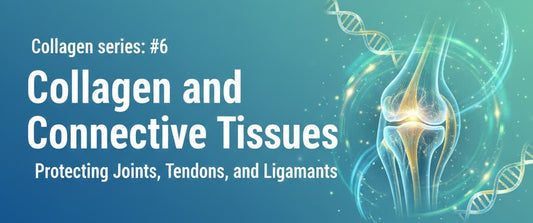 Collagen series: #6 Collagen and Connective Tissues: Protecting Joints, Tendons, and Ligaments