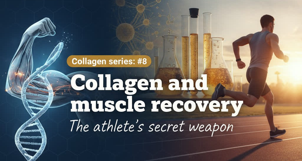 Collagen series: #8 Collagen and muscle recovery: The athlete’s secret weapon