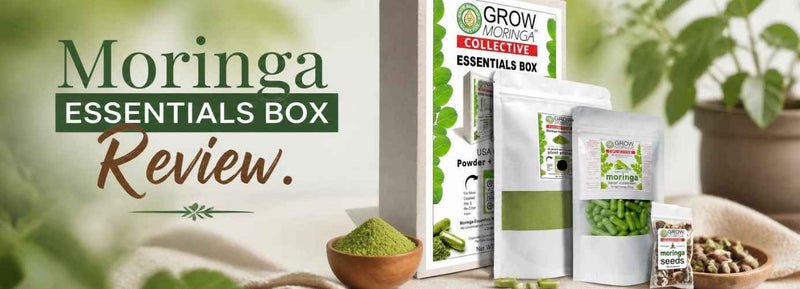 Moringa essentials box review: Complete Moringa superfood kit for daily wellness