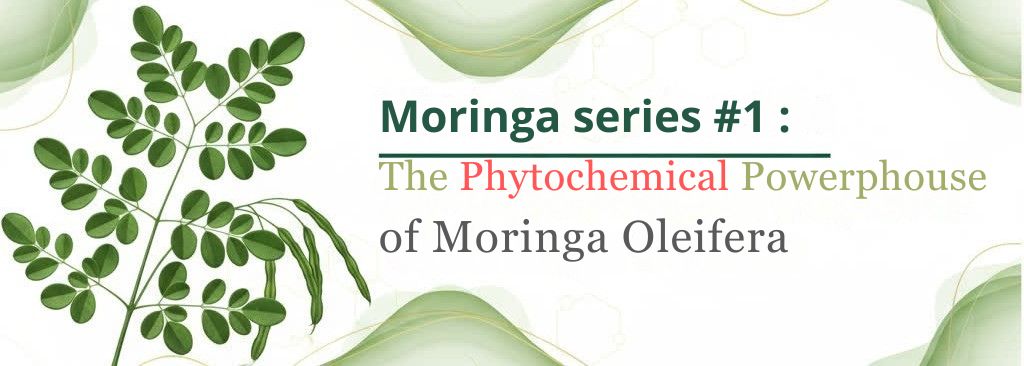 Moringa series #1: Inside the Miracle Tree: The Phytochemical Powerhouse of Moringa Oleifera