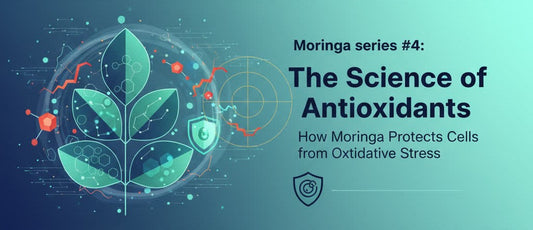 Moringa series #4: The Science of Antioxidants: How Moringa Protects Cells from Oxidative Stress