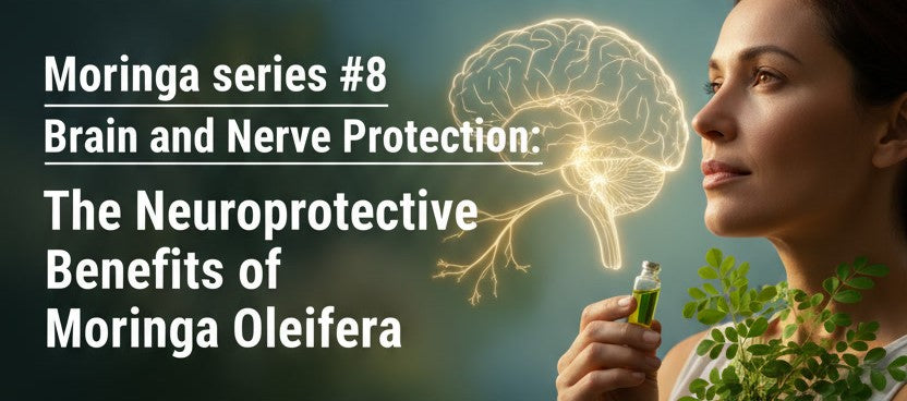 Moringa series #8: Brain and Nerve Protection: The Neuroprotective Benefits of Moringa Oleifera