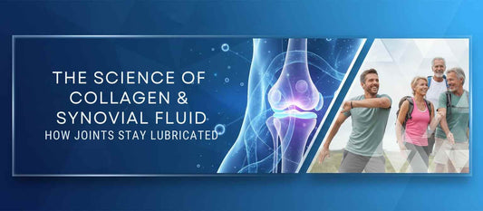 The science of collagen and synovial fluid: how joints stay lubricated