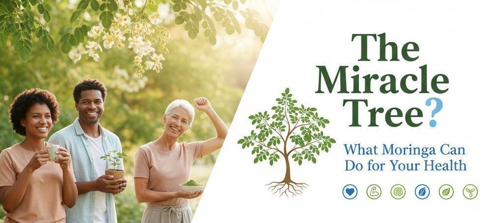The Miracle Tree? What Moringa can do for your health
