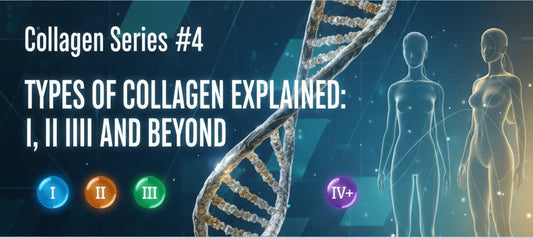 Collagen series:  #4 Types of collagen explained: I, II, III, and beyond
