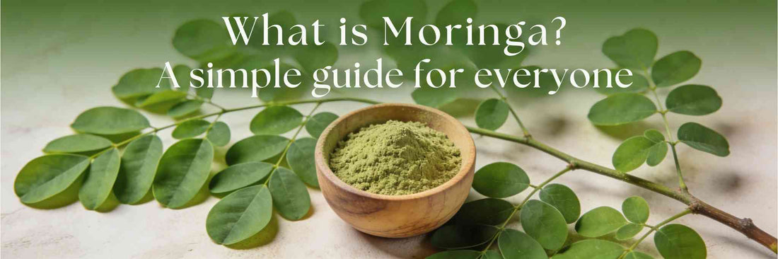 What is Moringa? A simple guide for everyone