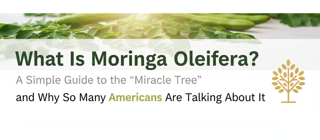 What Is Moringa Oleifera? A Simple Guide to the “Miracle Tree” and Why So Many Americans Are Talking About It