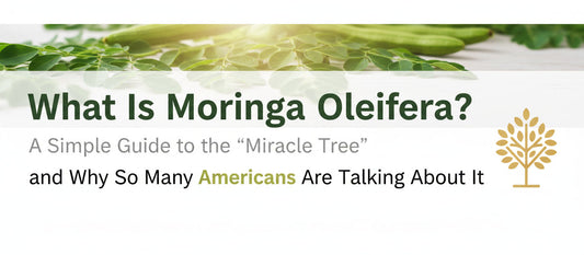 What Is Moringa Oleifera? A Simple Guide to the “Miracle Tree” and Why So Many Americans Are Talking About It