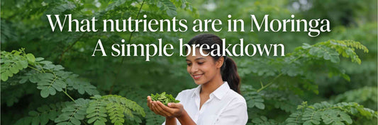 What nutrients are in Moringa? A simple breakdown of vitamins, minerals, and plant compounds Inside the leaves