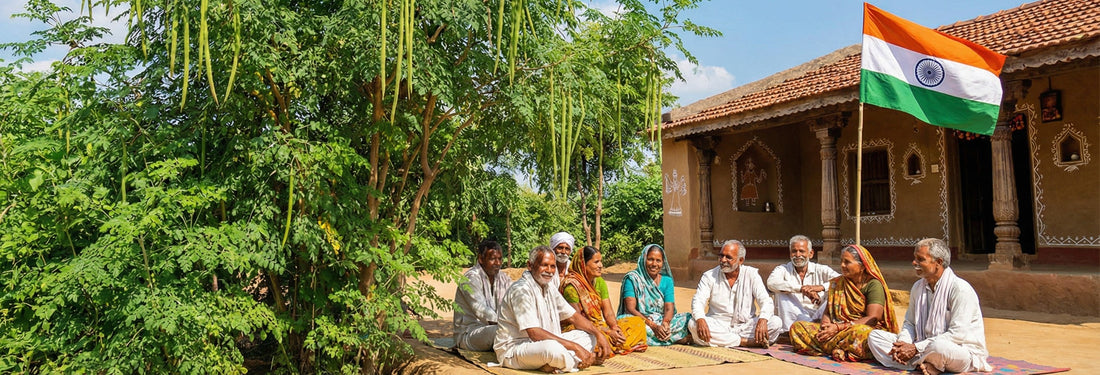 Where Does Moringa Oleifera Come From? And Why It’s Called the Tree of Life