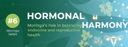 Moringa series #6: Hormonal Harmony: Moringa’s role in balancing endocrine and reproductive health