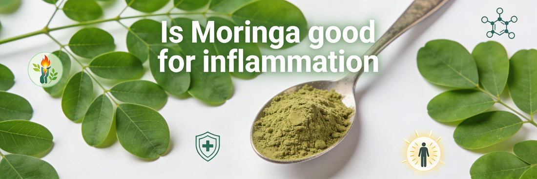 Is Moringa good for inflammation? What research says about its natural anti-inflammatory properties