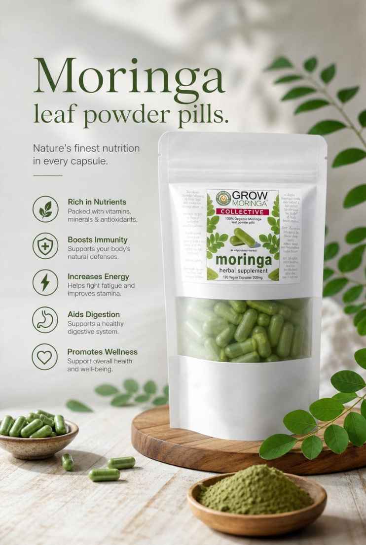 Low energy, poor digestion, or feeling run down? This powerful superfood powder is helping people feel healthier from the inside out…