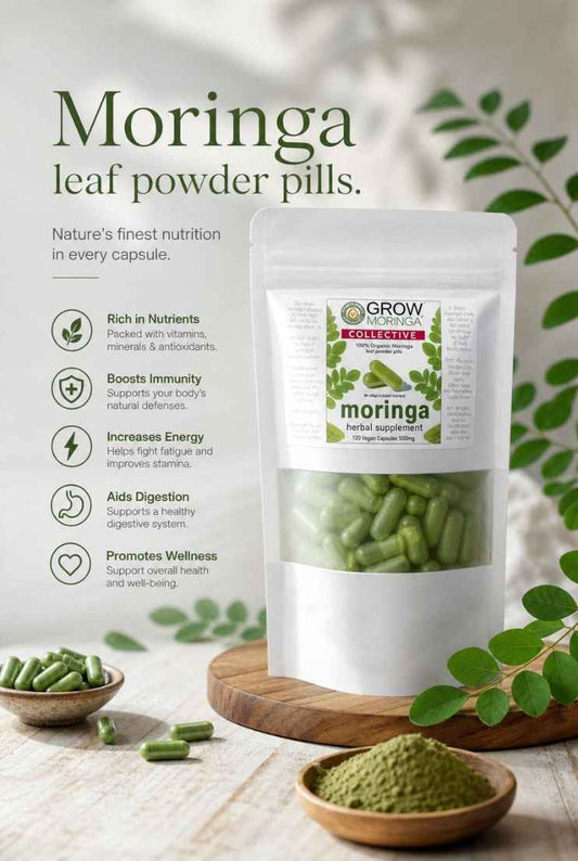 Low energy, poor digestion, or feeling run down? This powerful superfood powder is helping people feel healthier from the inside out…